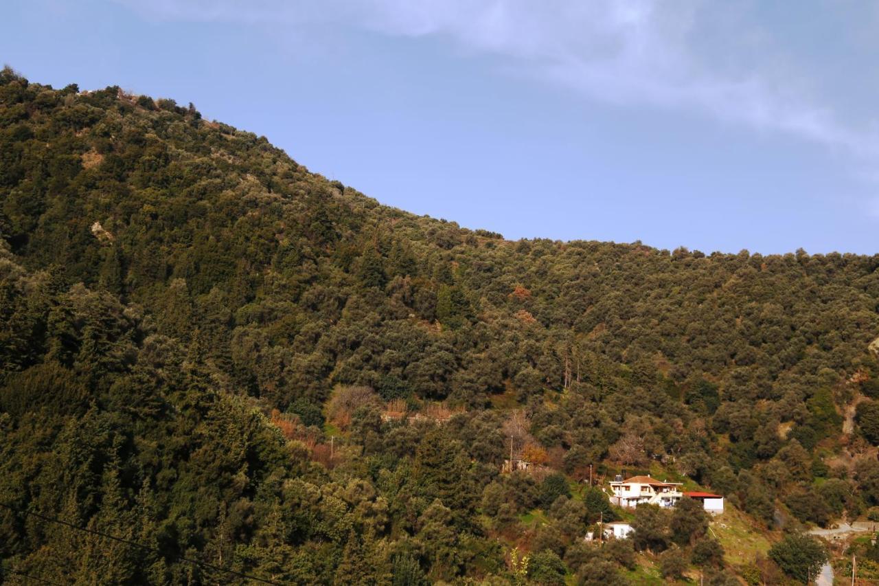 Kleanthi'S House Βίλα Χανιά Εξωτερικό φωτογραφία